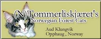 (N)Tömmerliskjäret's